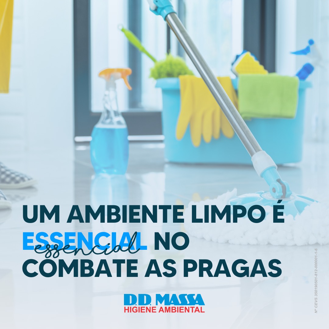 DD Massa News