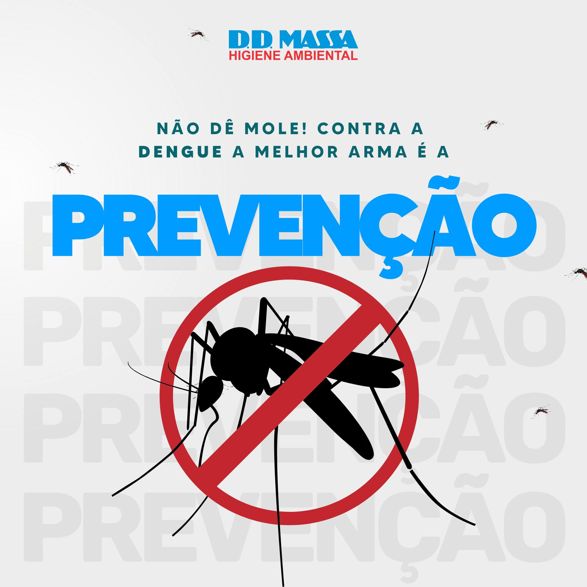 DD Massa News