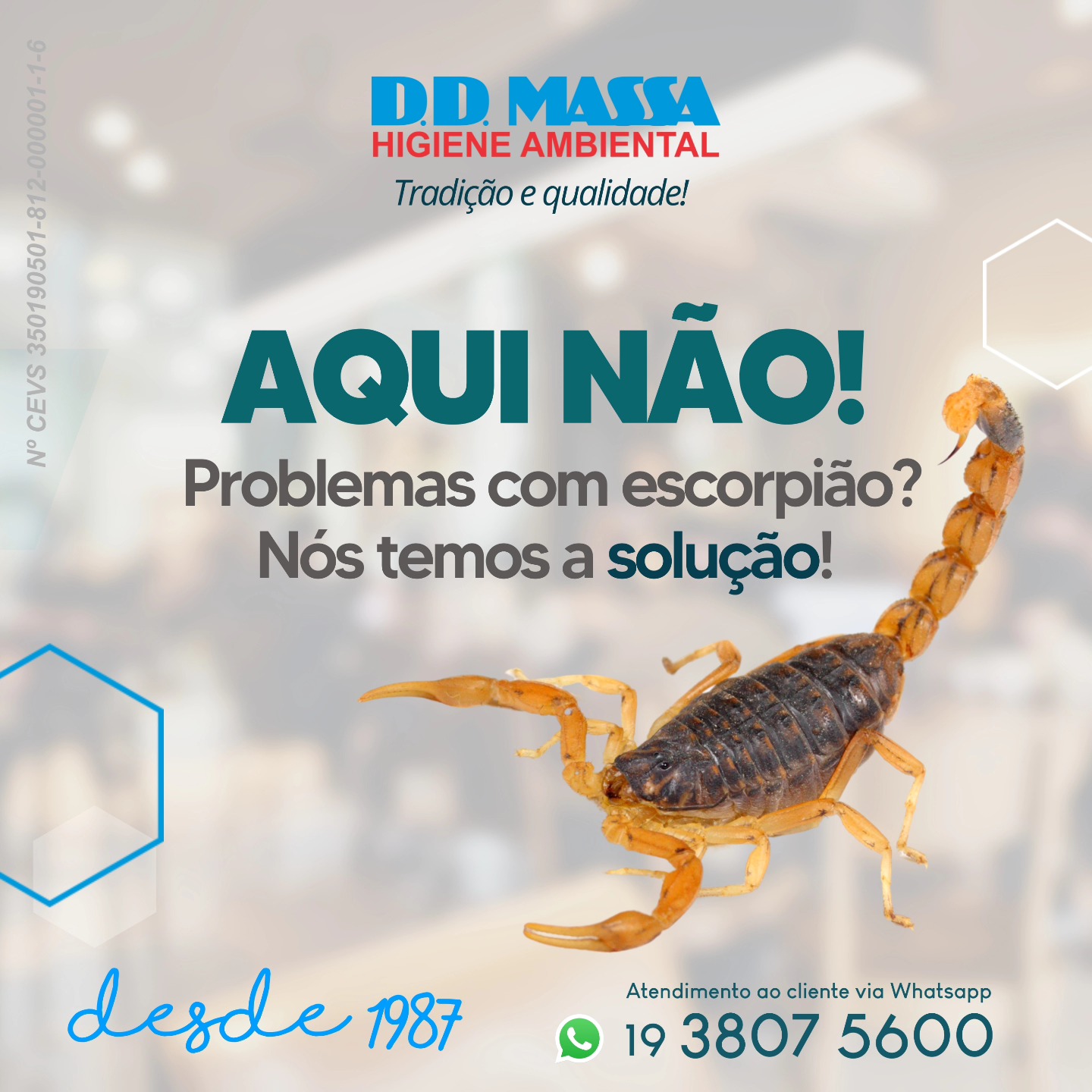 DD Massa News
