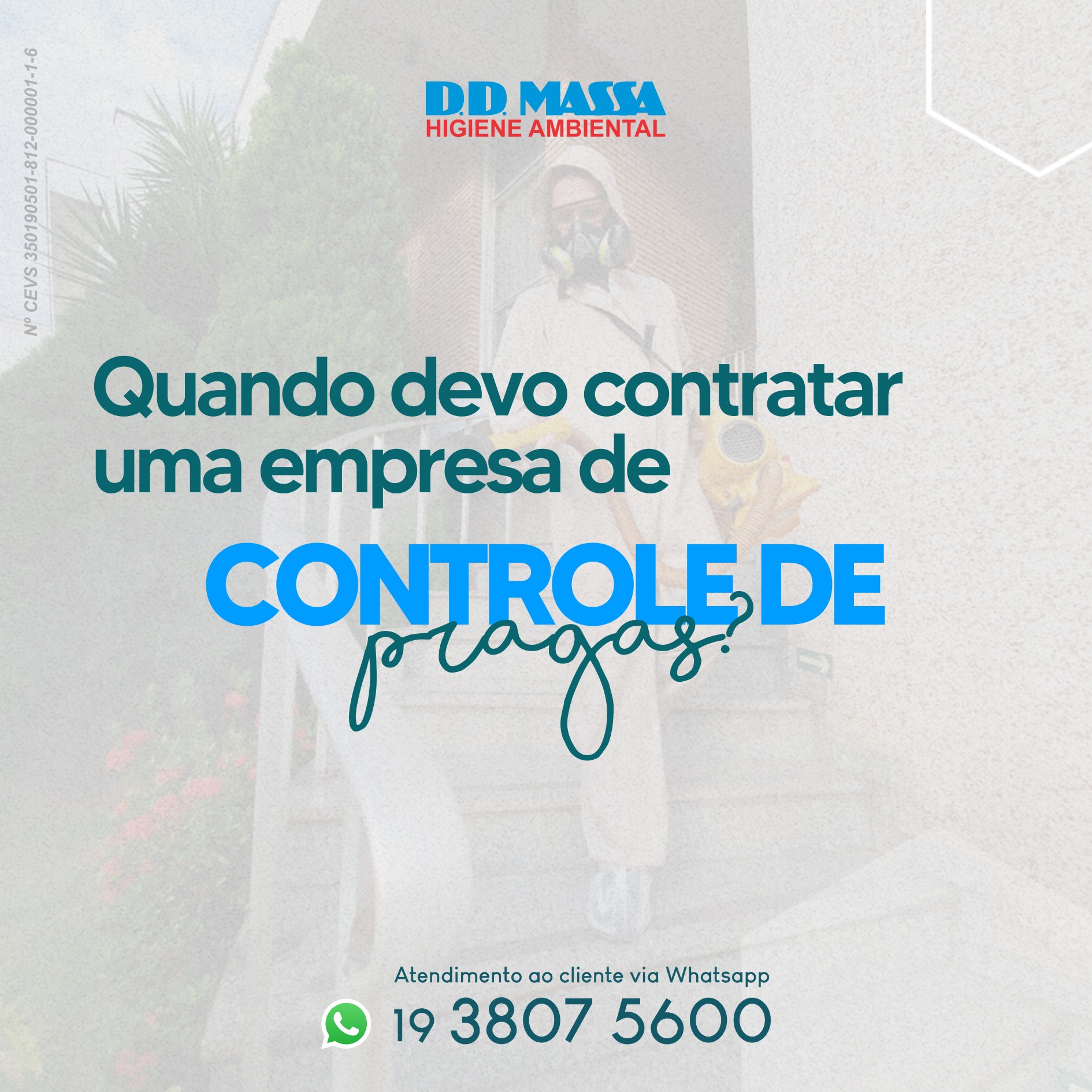 DD Massa News