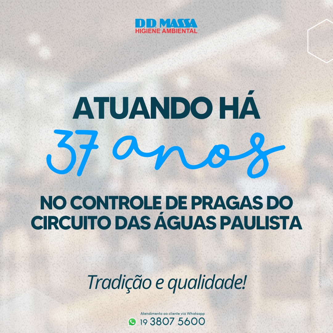 DD Massa News