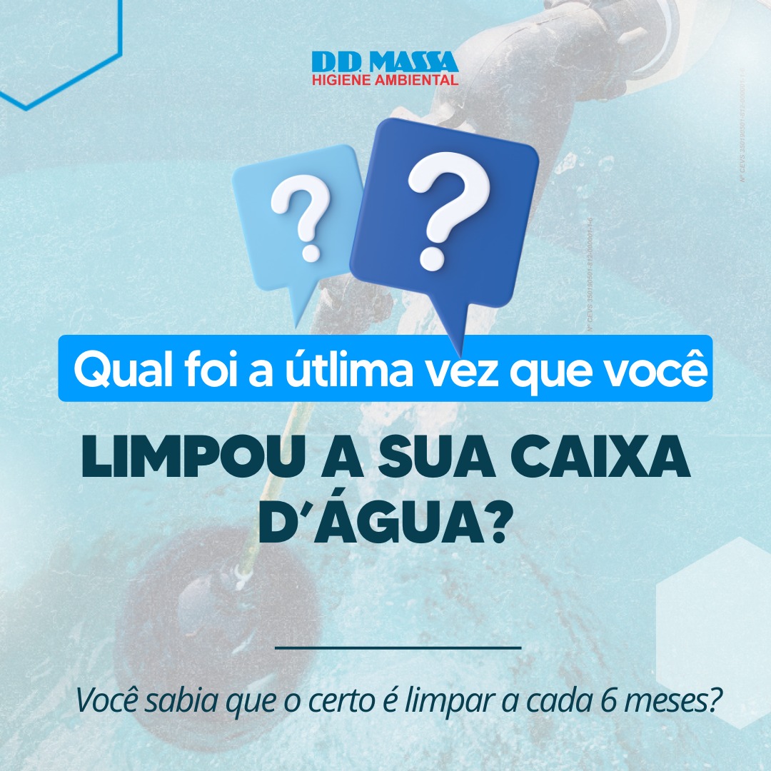 DD Massa News